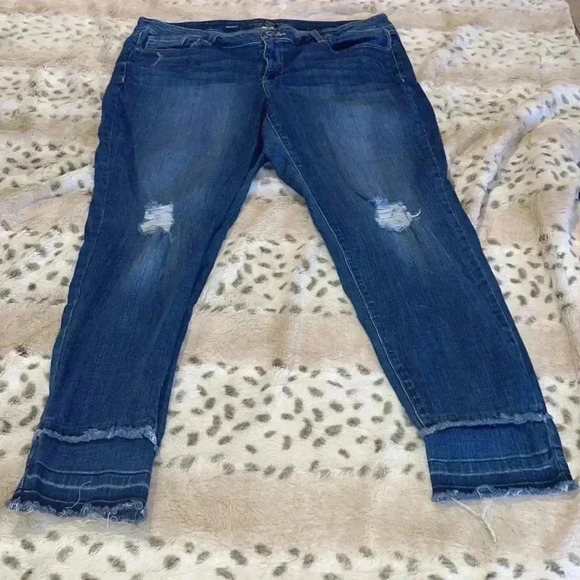 Lane Bryant Capris - Picture 3 of 5